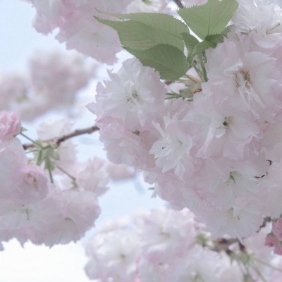 汇川FurryQQ群介绍